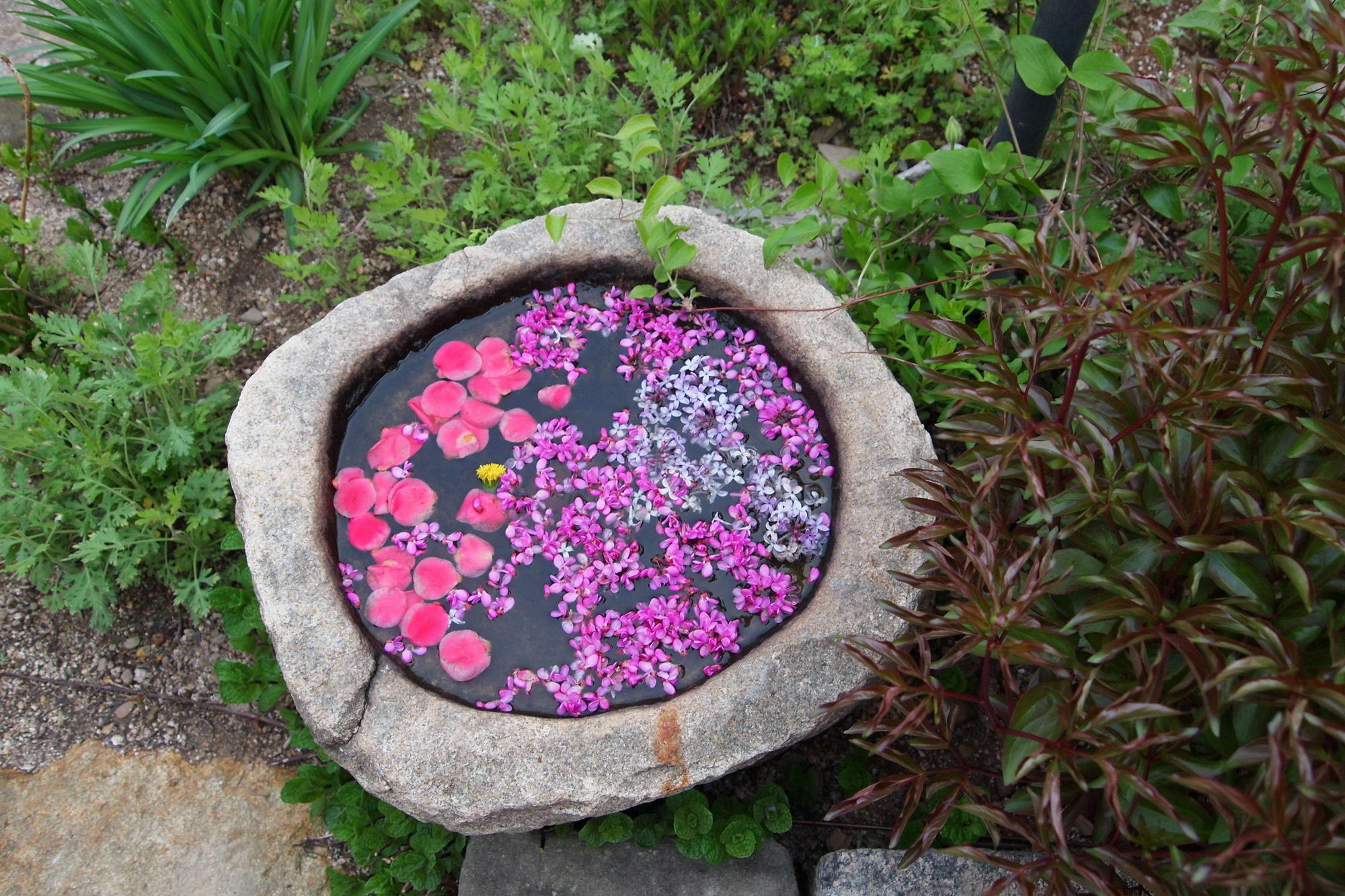 Floral Space Hanok Guesthouse Gyeongju Exterior photo