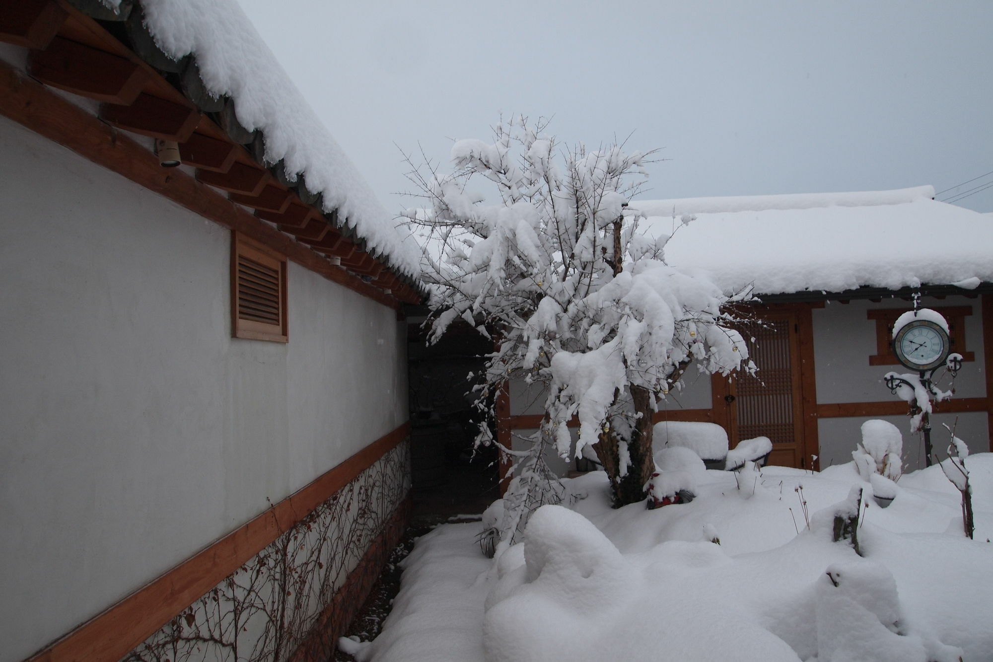 Floral Space Hanok Guesthouse Gyeongju Exterior photo